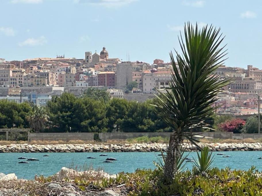 Un Passo Dal Mare E Dalla Citta. Κάλιαρι Εξωτερικό φωτογραφία